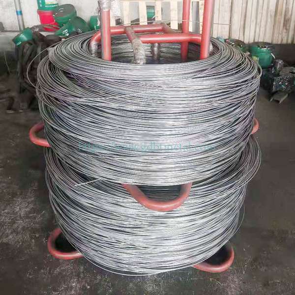 Stainless Steel Others